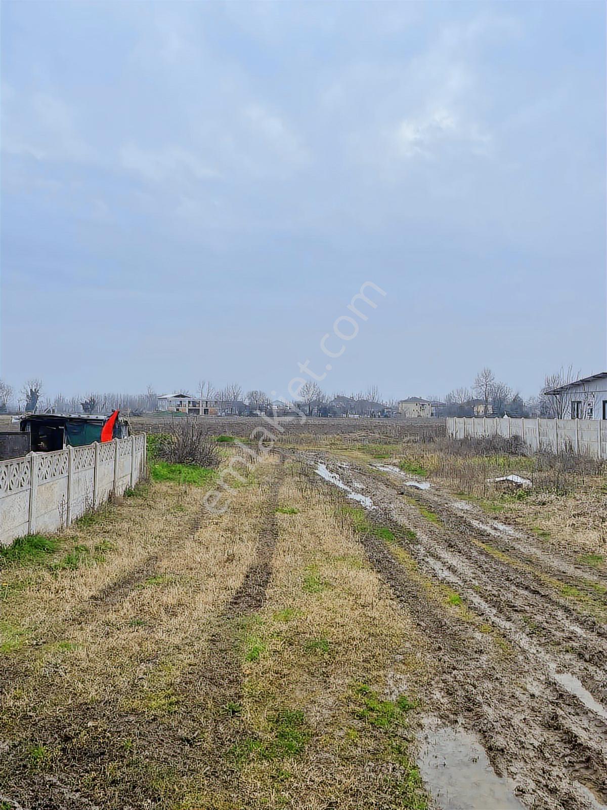 Bekirpaşda İmarlı 780 M2 Arsa - Görsel 3