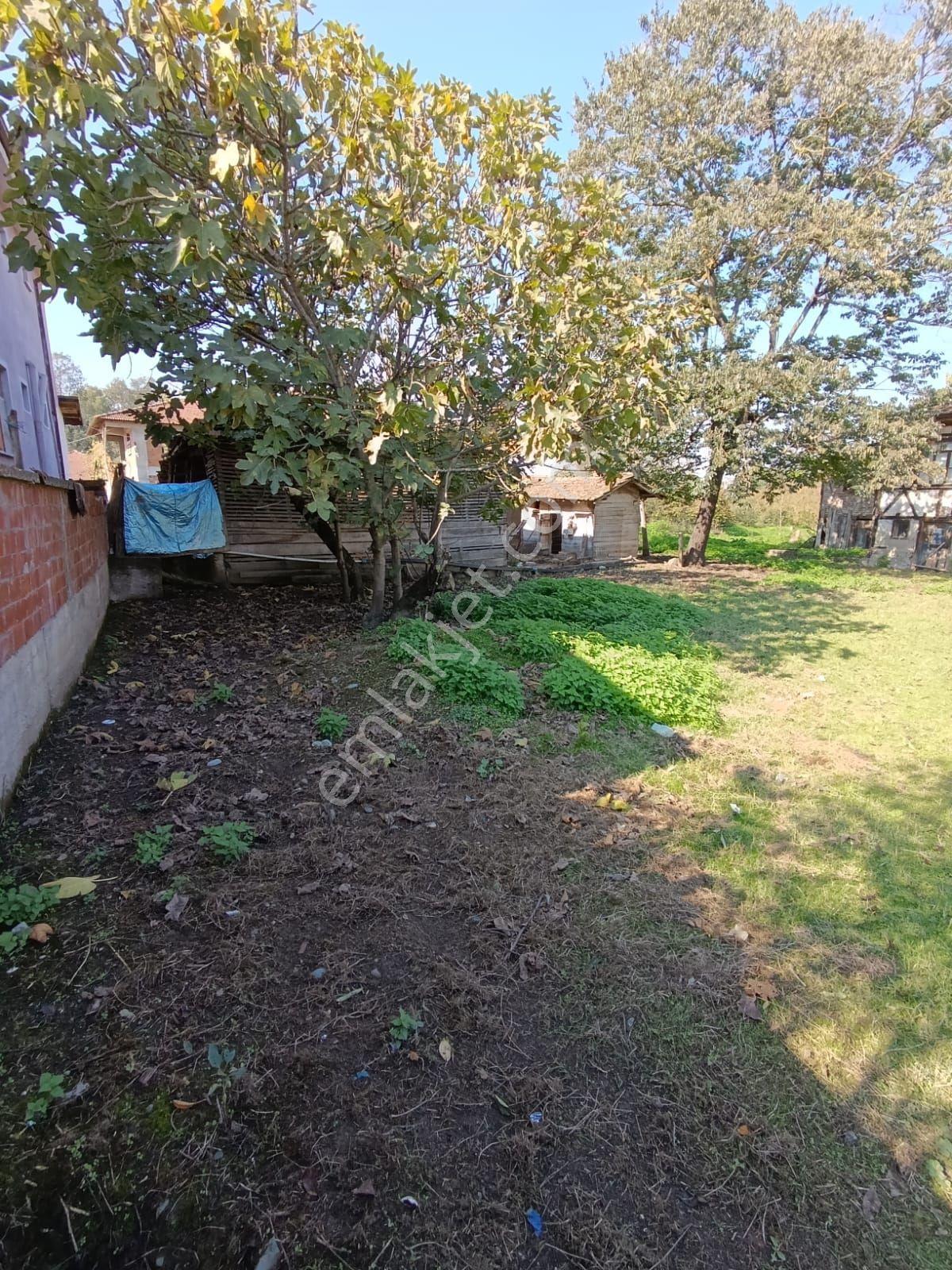 Hendek Çayırbaşı'nda 600m² Villa İmarlı Arsa - Görsel 8