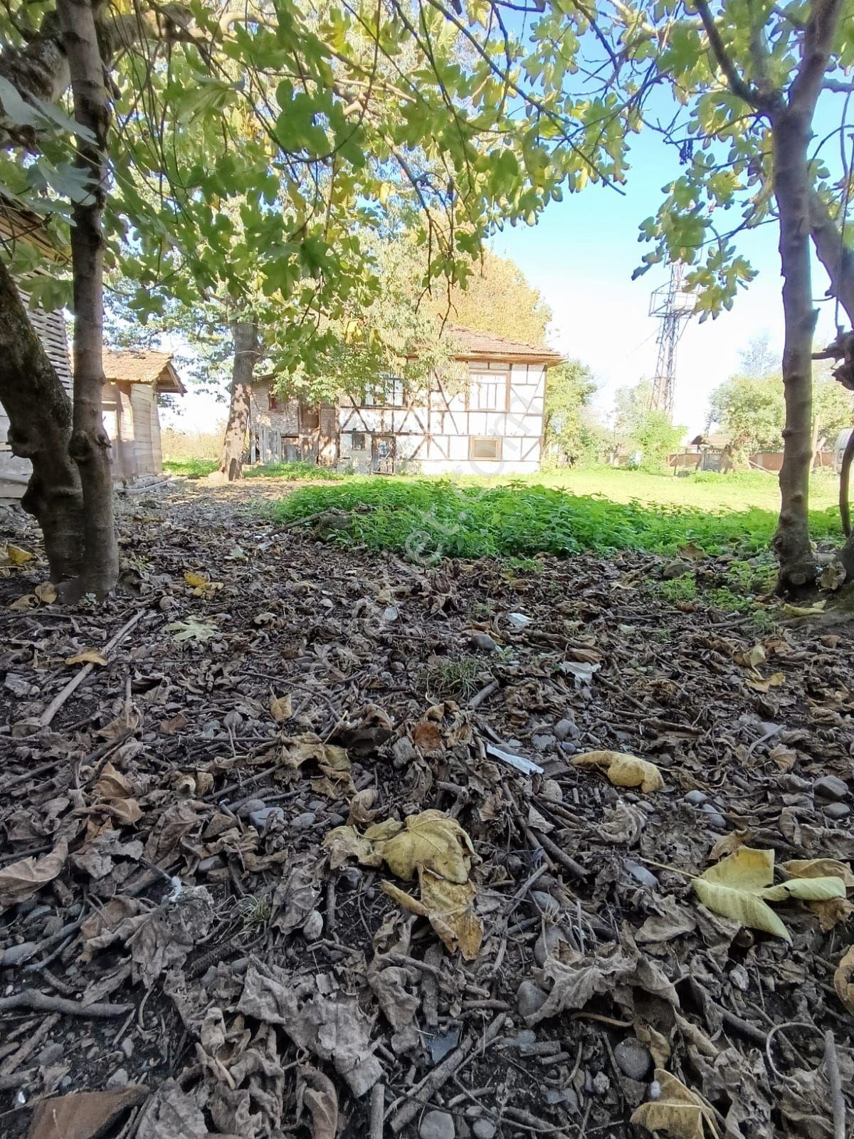Hendek Çayırbaşı'nda 600m² Villa İmarlı Arsa - Görsel 7