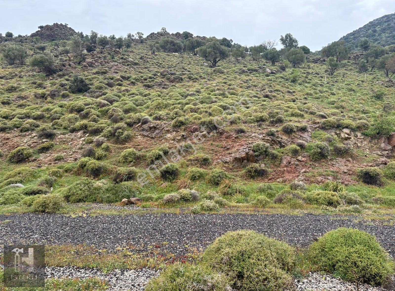 İstekli Emlak'tan Denizköy'de Adalar Manzaralı 512 M2 Arsa - Görsel 18