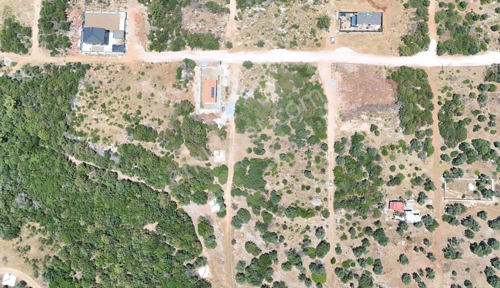 Didim Akyeniköy Kardelen Mevkide 20/40 İmarlı Arsa