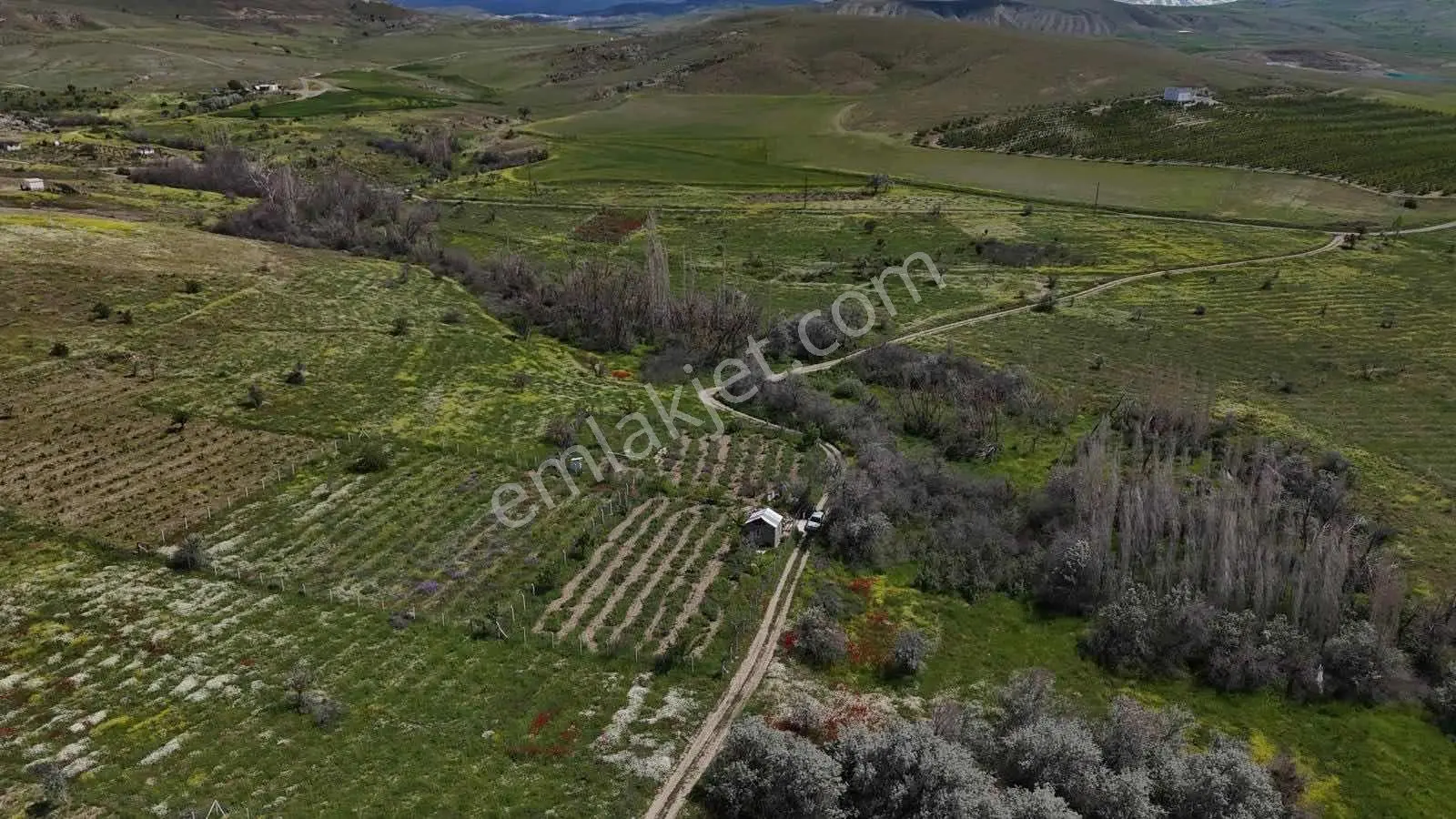 Emin Emlak Niğde Ulukışla 2 Parsel 900m Gelişim Bölgesinde Bağ