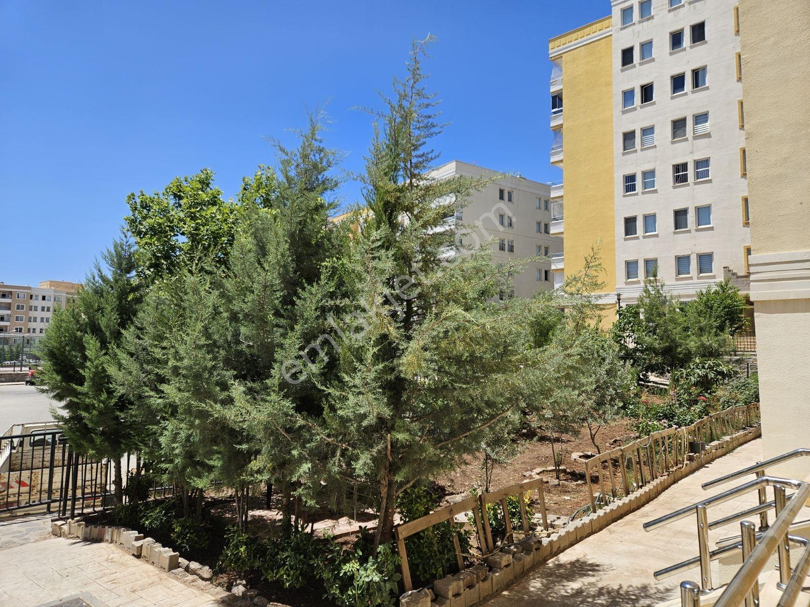 Geylani Emlaktan Arakat Sarı Toki Dairesi Arakat Tapusu Hazır - Görsel 9