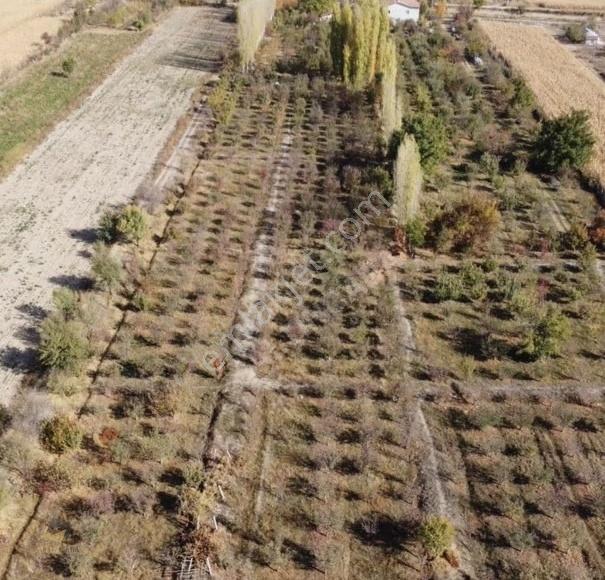 Altıncaba'dan Çumra'da 36.570 M² Meyve Bahçeli Müstakil Ev - Görsel 5