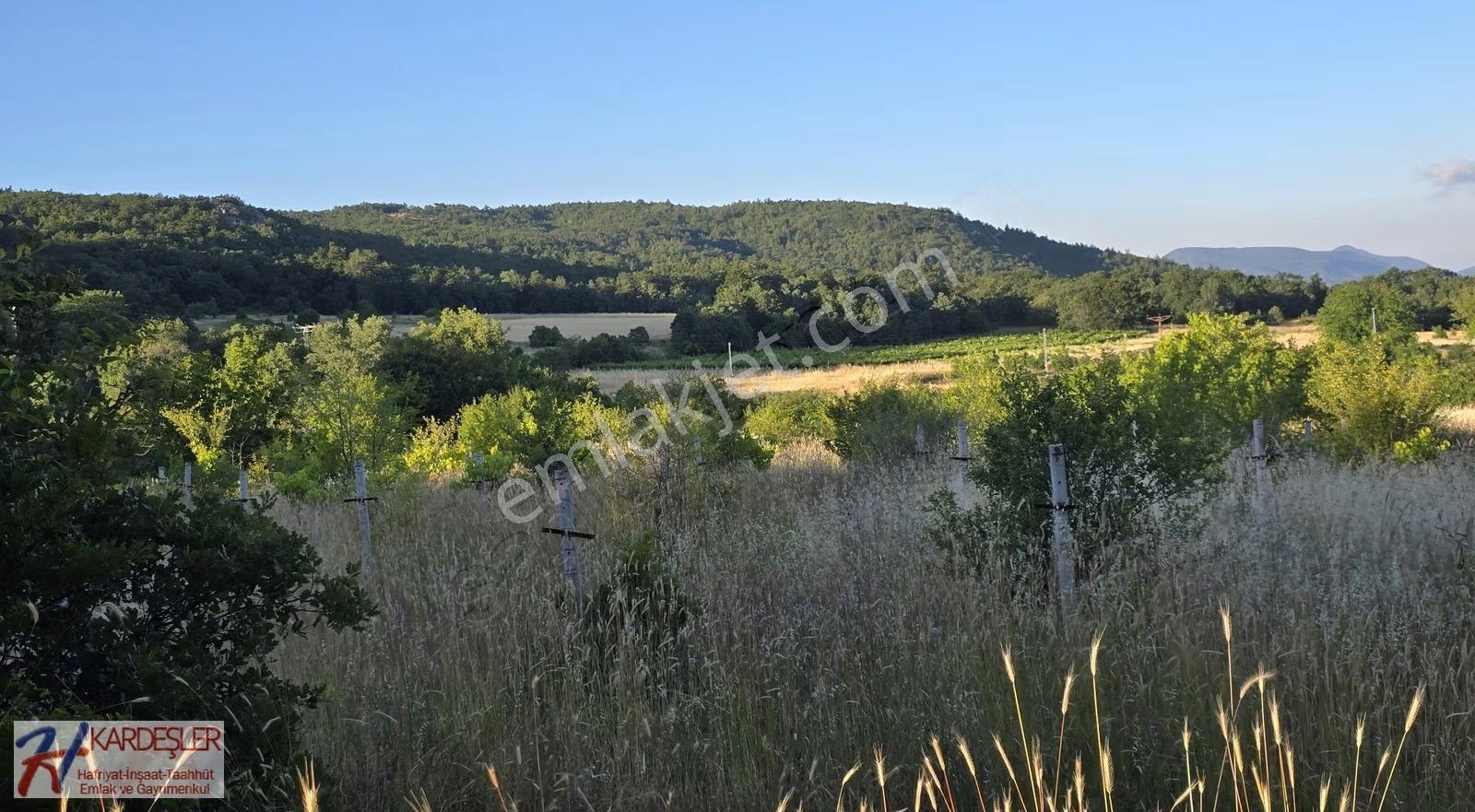 Sakarya P.ova Akçakaya Mah. Kendine Ait Suyu Olan 4790 M2 Arazi - Görsel 17