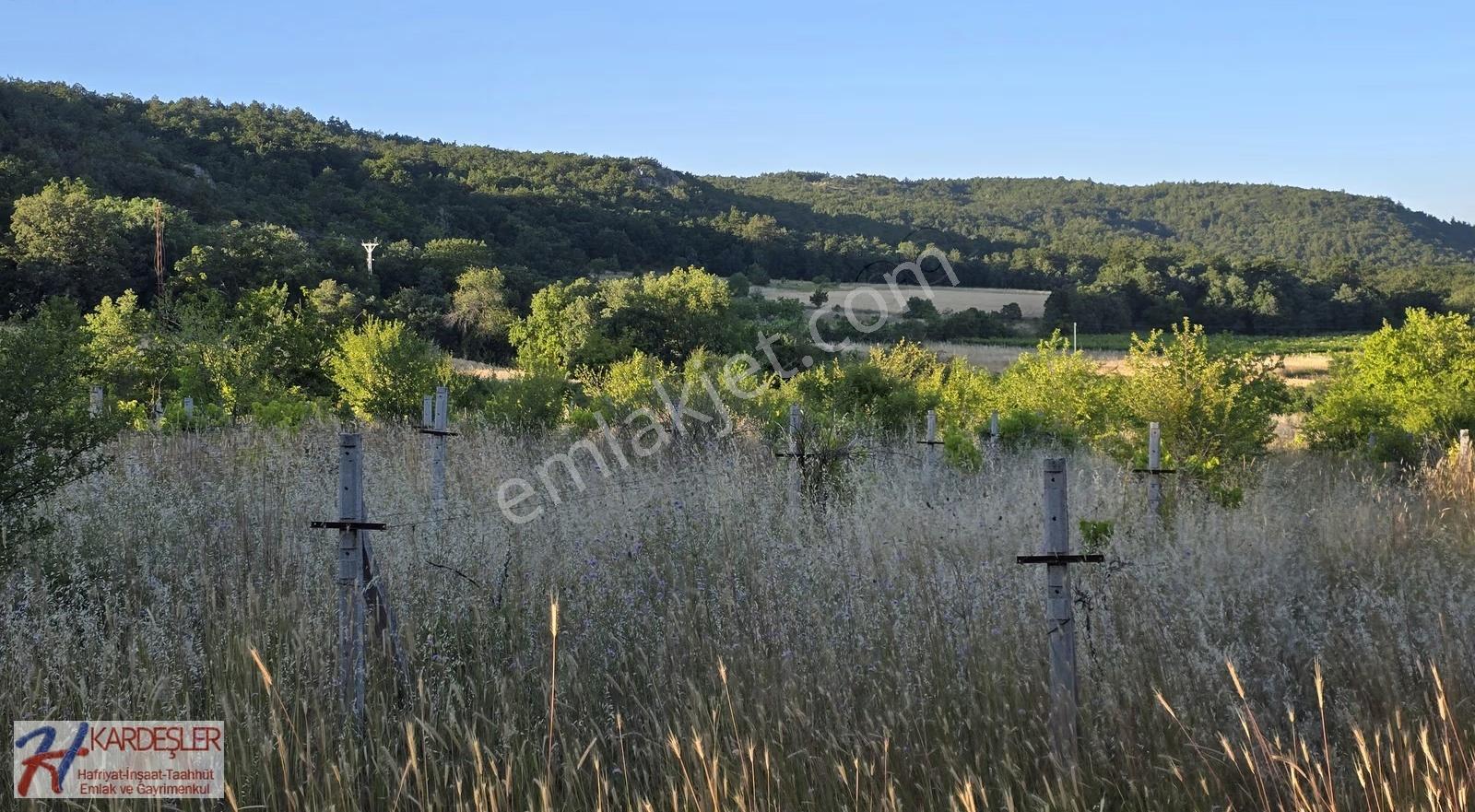 Sakarya P.ova Akçakaya Mah. Kendine Ait Suyu Olan 4790 M2 Arazi - Görsel 20