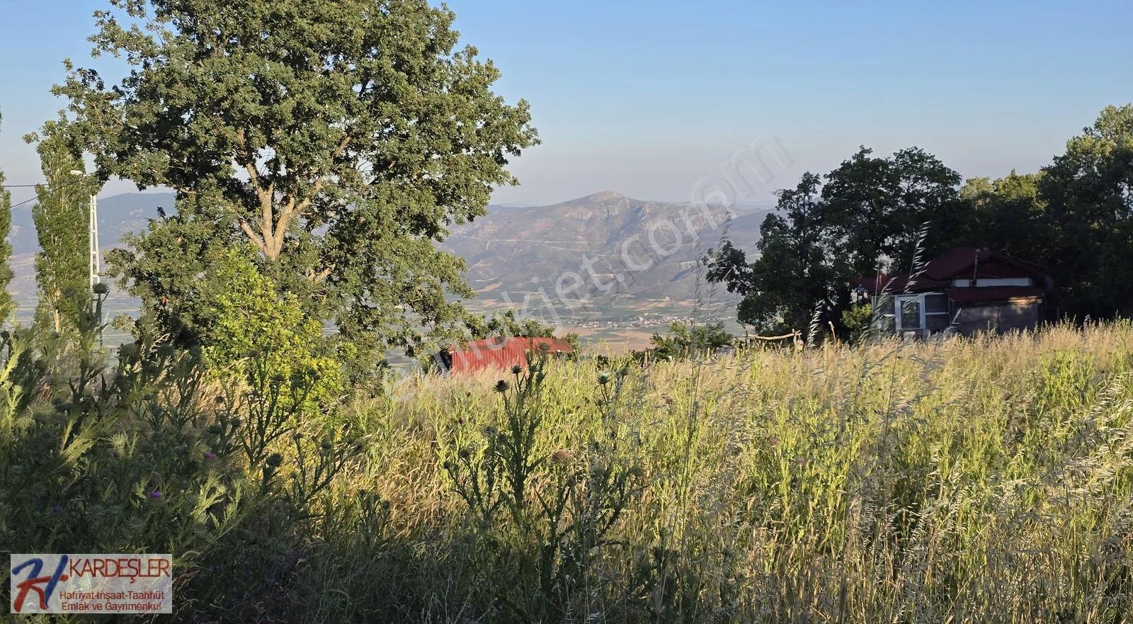 Sakarya P.ova Akçakaya Mah. Kendine Ait Suyu Olan 4790 M2 Arazi - Görsel 16
