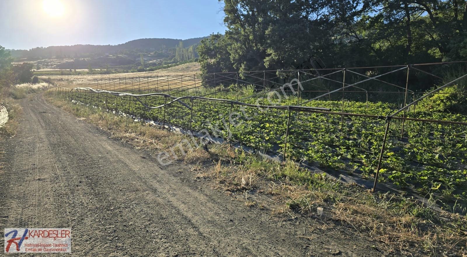 Sakarya P.ova Akçakaya Mah. Kendine Ait Suyu Olan 4790 M2 Arazi - Görsel 27