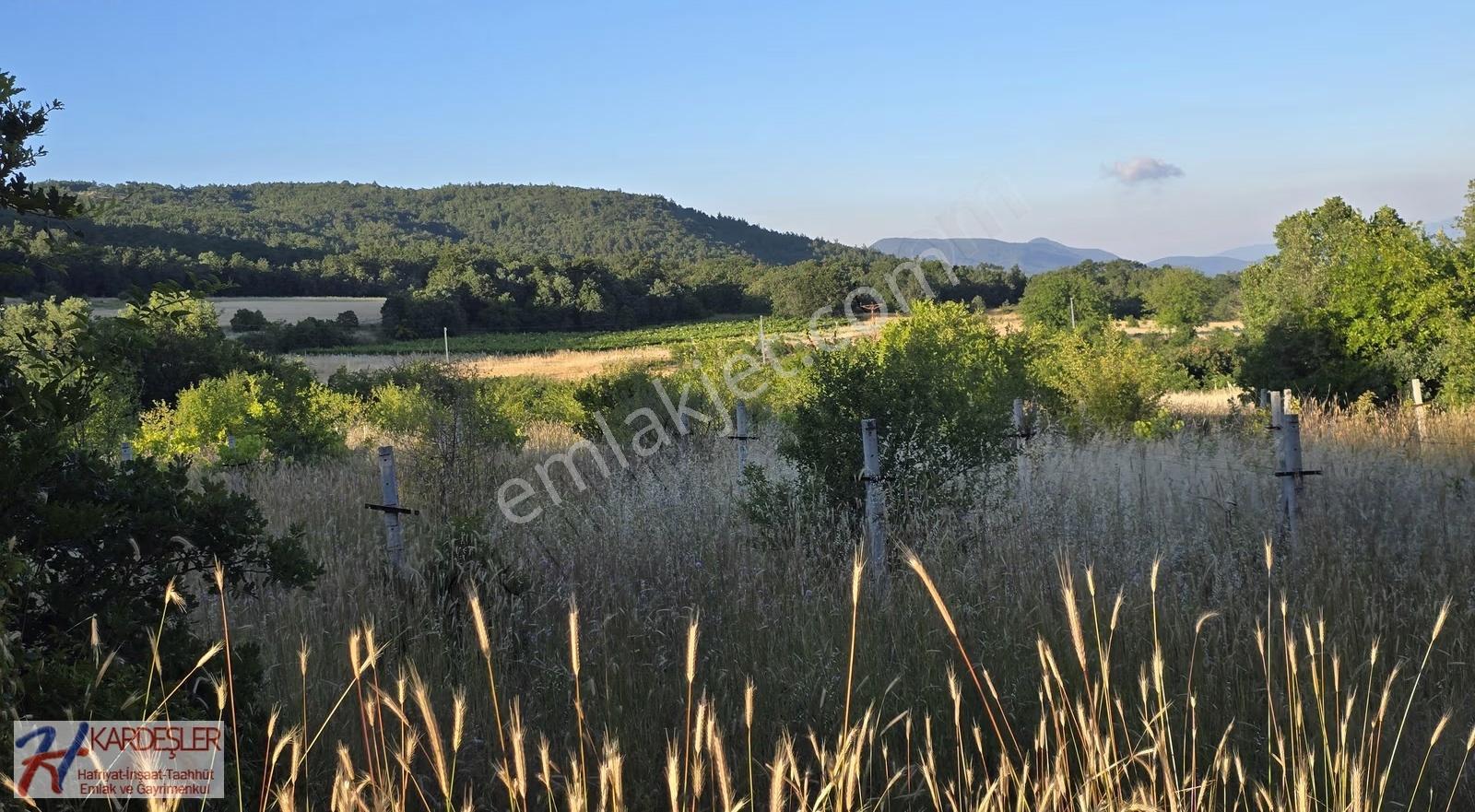 Sakarya P.ova Akçakaya Mah. Kendine Ait Suyu Olan 4790 M2 Arazi - Görsel 22