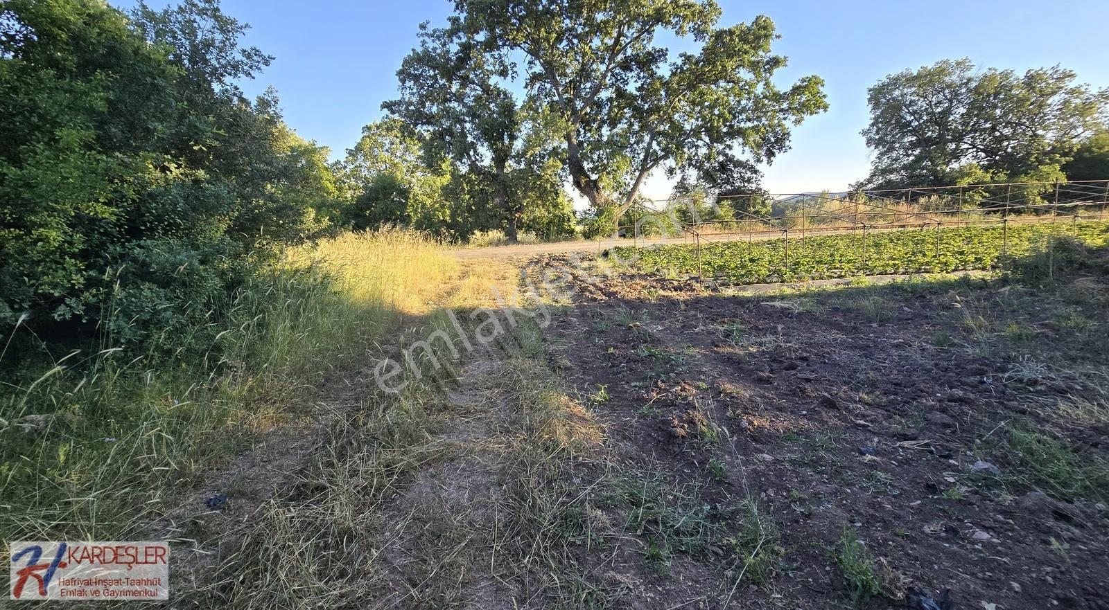 Sakarya P.ova Akçakaya Mah. Kendine Ait Suyu Olan 4790 M2 Arazi - Görsel 23