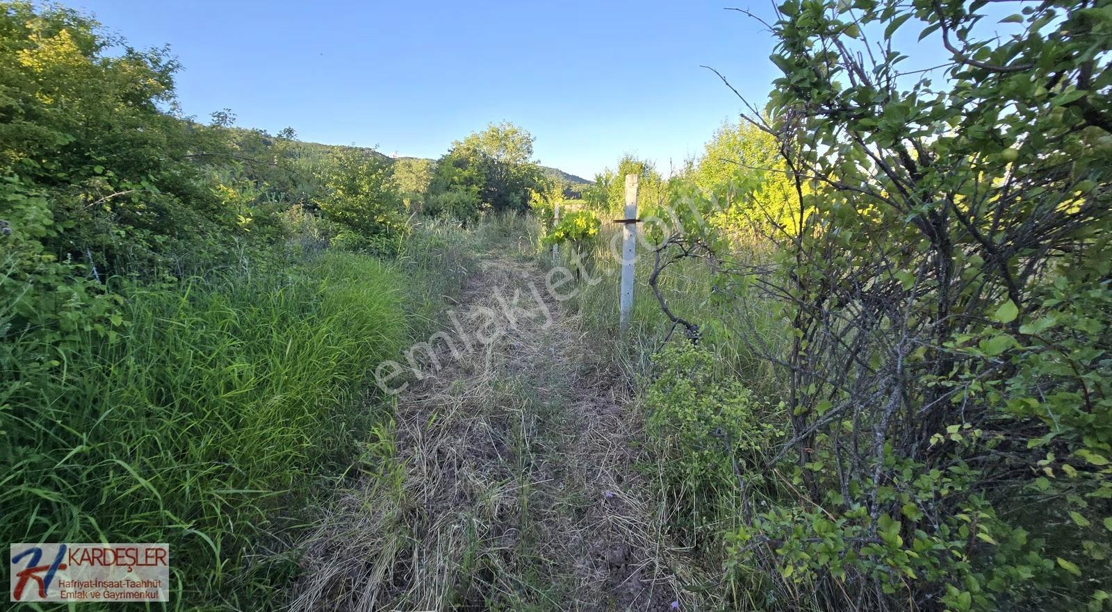 Sakarya P.ova Akçakaya Mah. Kendine Ait Suyu Olan 4790 M2 Arazi - Görsel 9