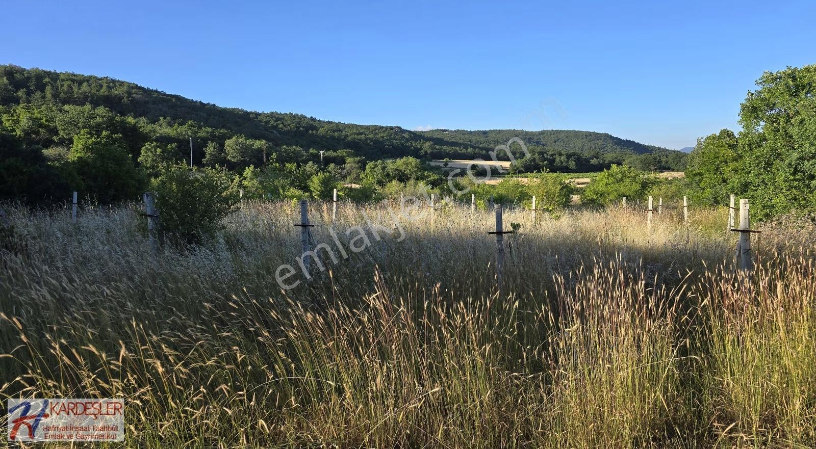 Sakarya P.ova Akçakaya Mah. Kendine Ait Suyu Olan 4790 M2 Arazi - Görsel 11