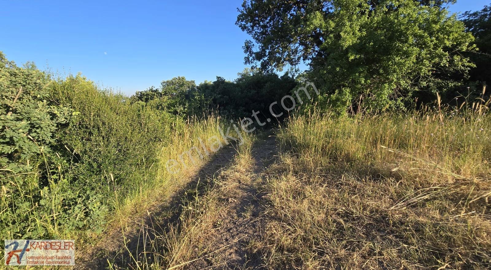 Sakarya P.ova Akçakaya Mah. Kendine Ait Suyu Olan 4790 M2 Arazi - Görsel 4