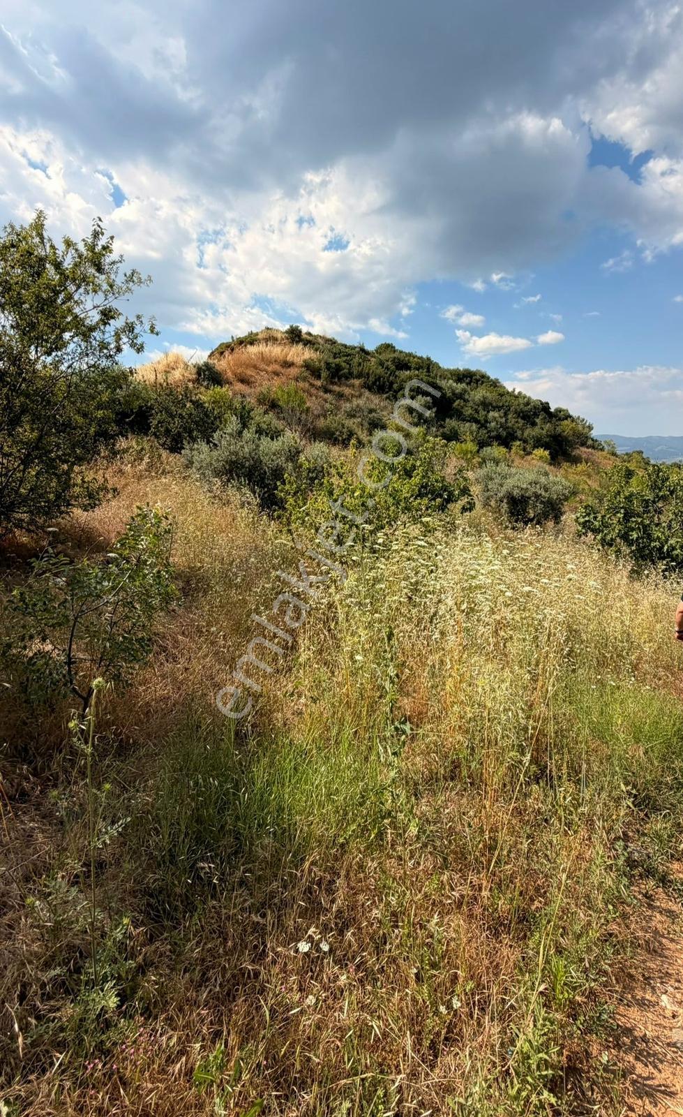 Turgutlu Dalbahçe Satılık Arsa - Görsel 2