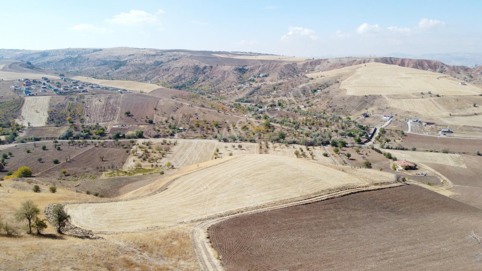 **güzelhisar Da Yol Kenarı 850 Metre Tapulu Bahçe-*-