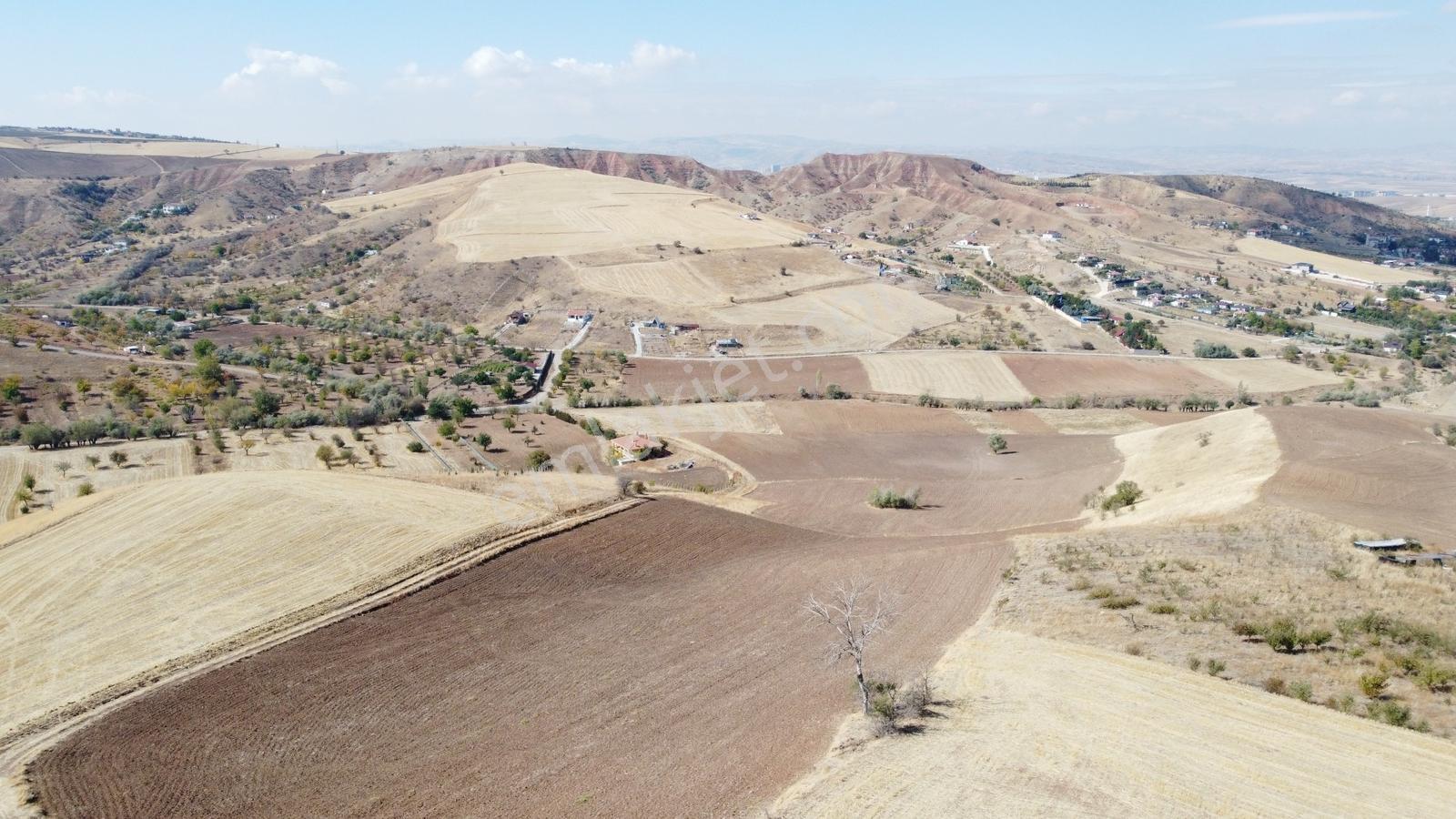 **güzelhisar Da Yol Kenarı 850 Metre Tapulu Bahçe-*- - Görsel 8