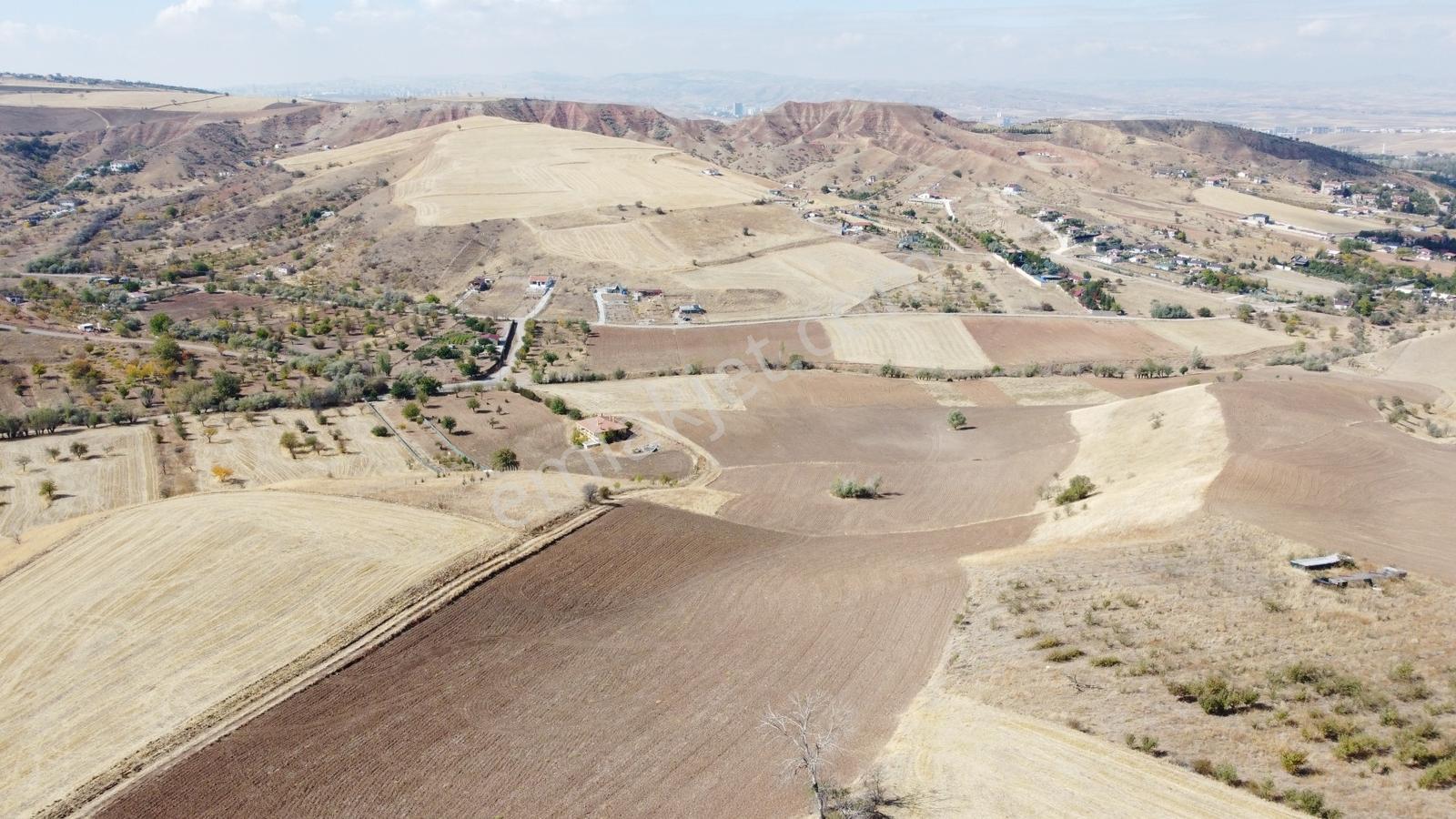 **güzelhisar Da Yol Kenarı 850 Metre Tapulu Bahçe-*- - Görsel 17