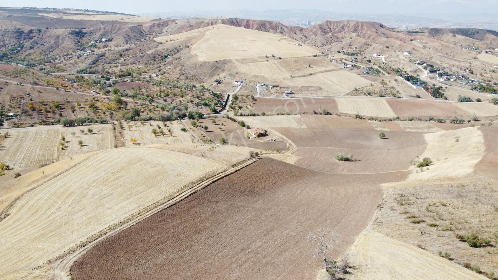 **güzelhisar Da Yol Kenarı 850 Metre Tapulu Bahçe-*- - Görsel 24