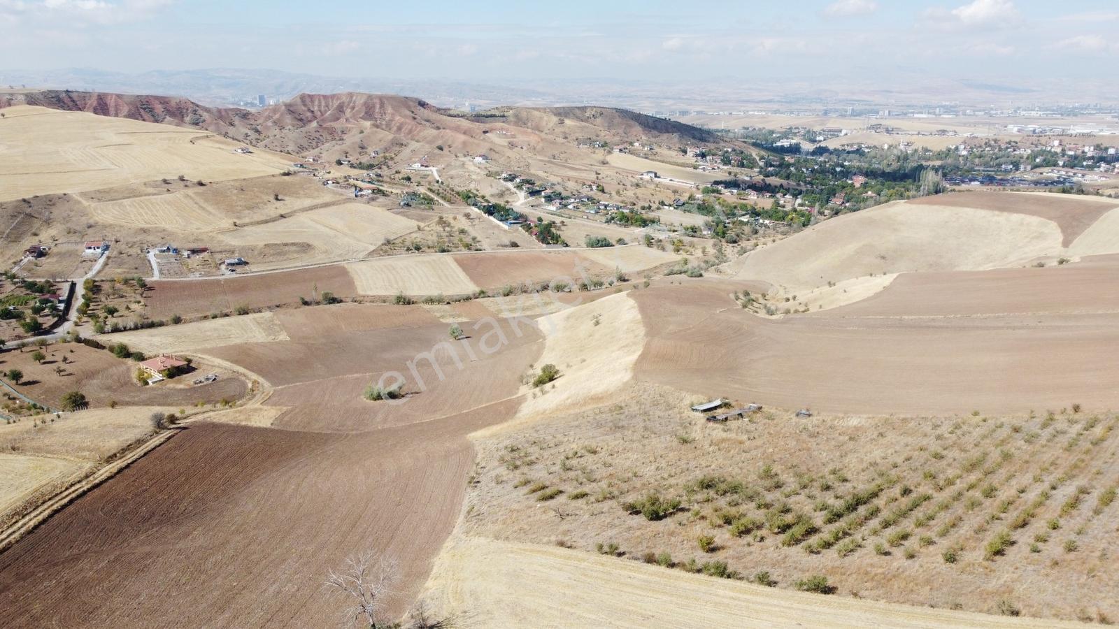 **güzelhisar Da Yol Kenarı 850 Metre Tapulu Bahçe-*- - Görsel 15