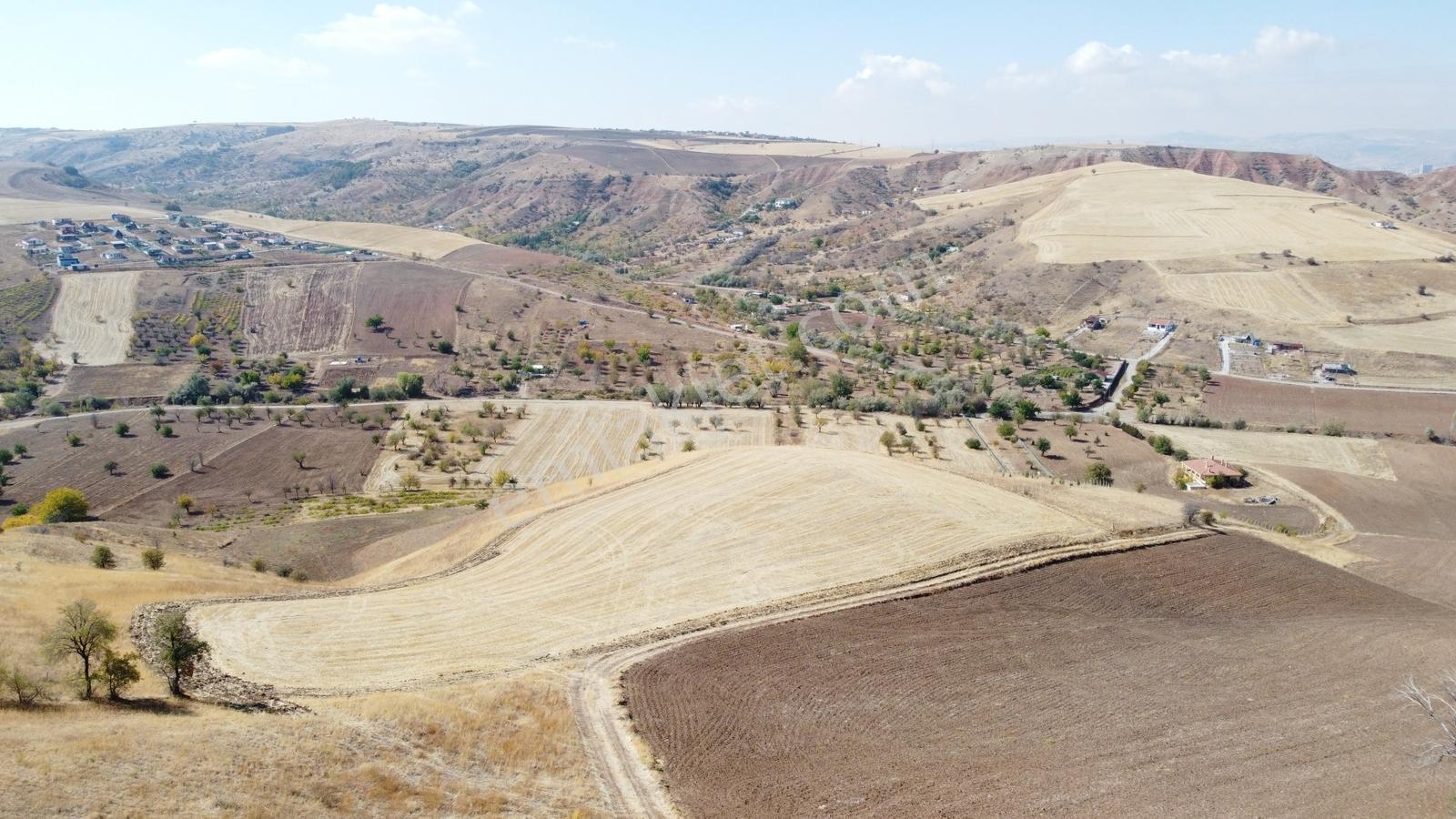 **güzelhisar Da Yol Kenarı 850 Metre Tapulu Bahçe-*- - Görsel 6