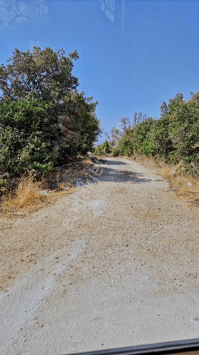 Sahibinden Villa İmarlı 847m Yolu Var...takas Olur - Görsel 29