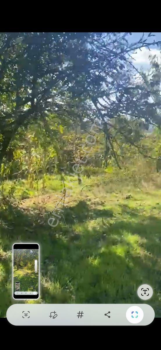 Sakarya Geyve Karacaören 683m Villa İmarlı Güzel Konumlu - Görsel 13