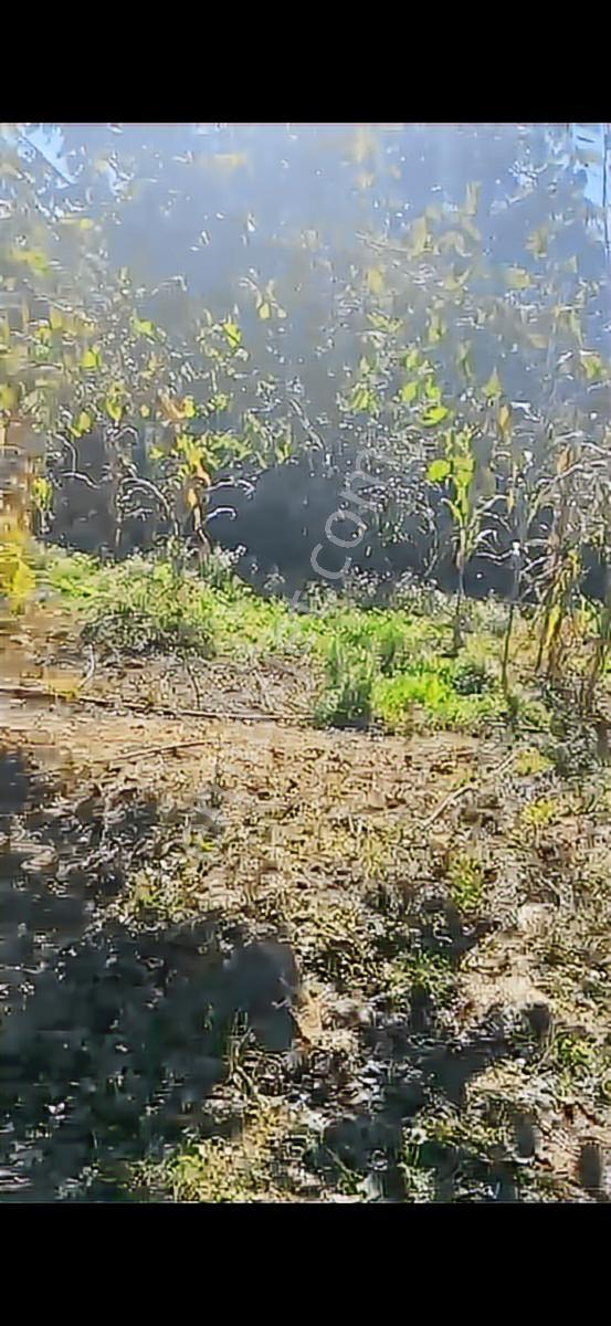 Sakarya Geyve Karacaören 683m Villa İmarlı Güzel Konumlu - Görsel 2