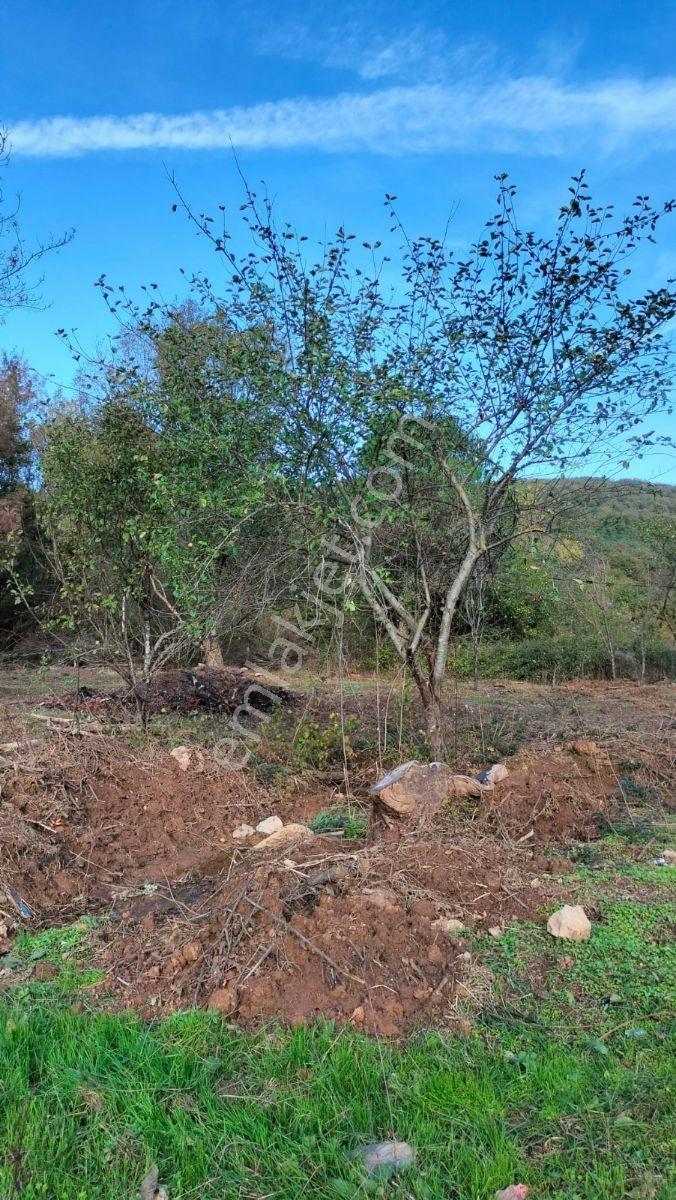Şile Karabeyli Satılık 1117m2 Arsa (yola Cephe) - Görsel 8