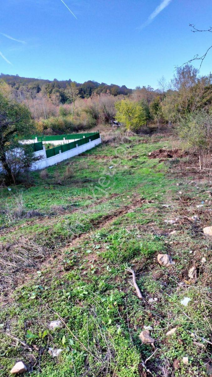 Şile Karabeyli Satılık 1117m2 Arsa (yola Cephe) - Görsel 14