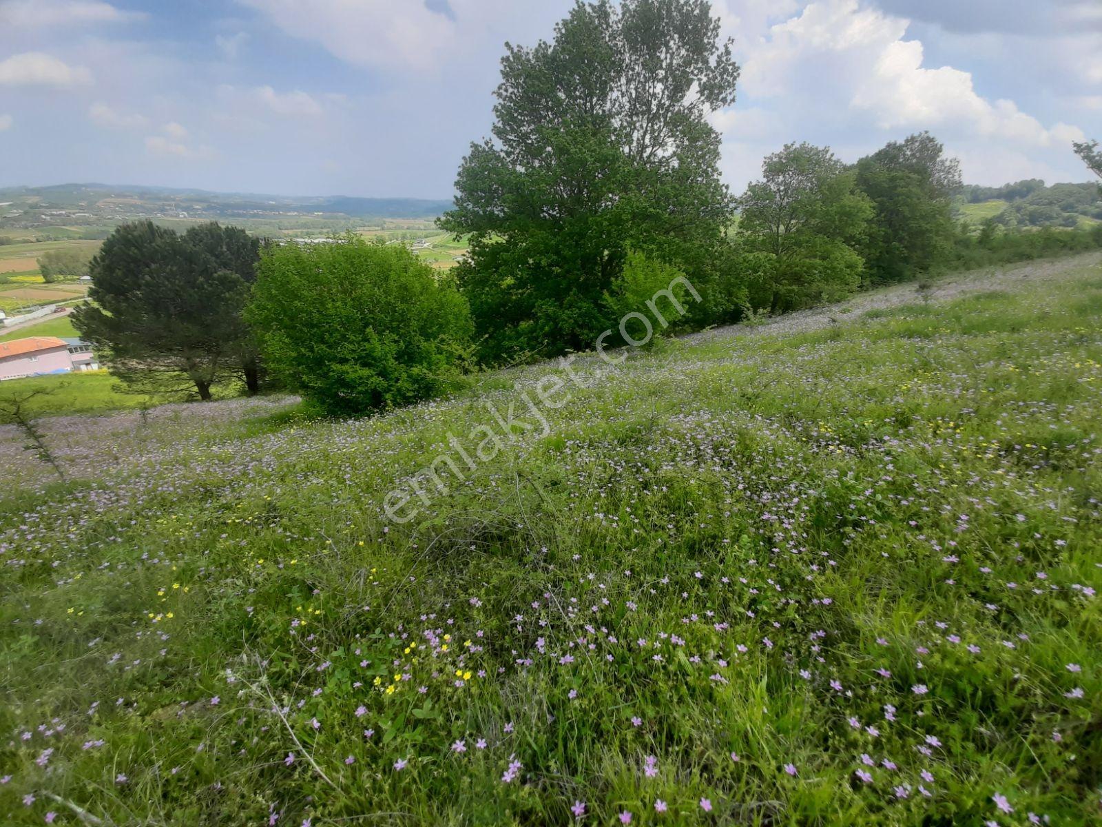 KÖRFEZ HİMMETLİ SATILIK 4324M2 ARSA %5 İMARLI *VİLLA YAPILABİLİR - Görünüm 2