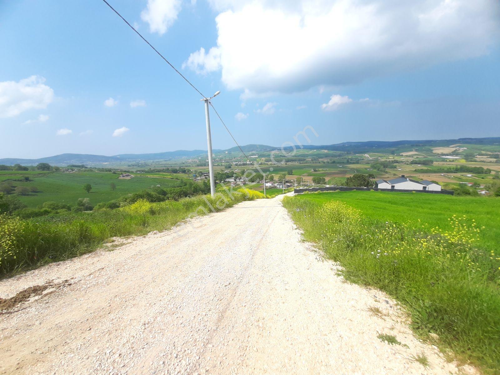 KÖRFEZ HİMMETLİ SATILIK 4324M2 ARSA %5 İMARLI *VİLLA YAPILABİLİR - Görünüm 5