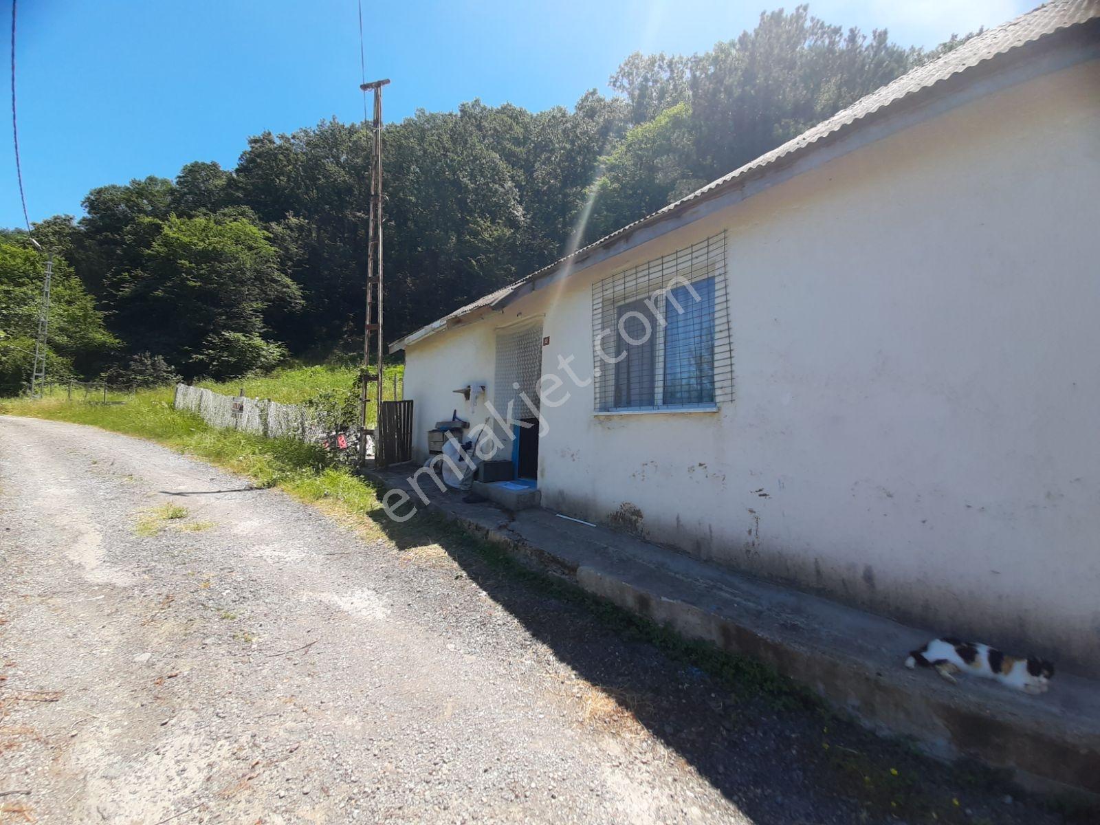 Şile İmrenli'de Satılık İmarlı 702 M2 Arsa (yola Cephe) - Görsel 10