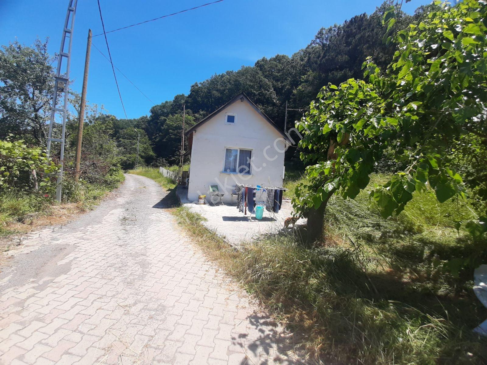 Şile İmrenli'de Satılık İmarlı 702 M2 Arsa (yola Cephe) - Görsel 5