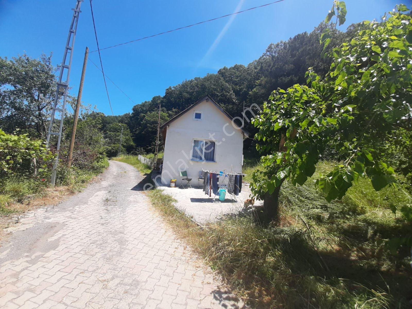 Şile İmrenli'de Kiralık 1+1 Müstakil Ev (eşyalı) - Görsel 3