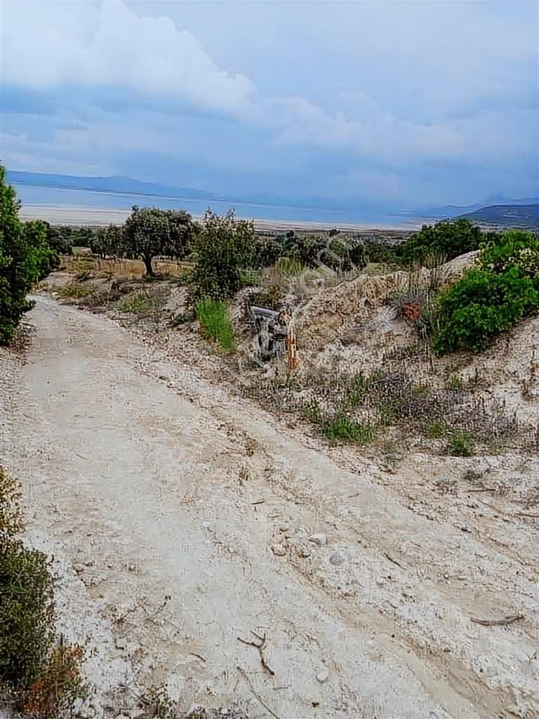 Ender Kortan'dan Burdur İlyas Köyü Göl Manzaralı Tarla - Görsel 11