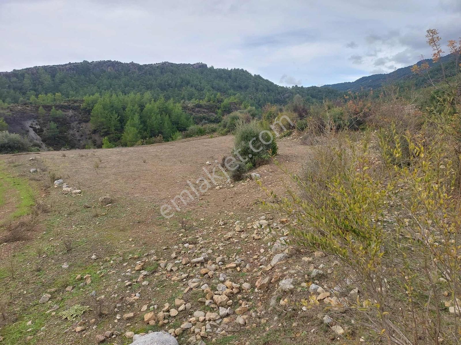 Manavgat Kızıldağda 6.048 M² Bağ Evi Yapımına Uygun Arazi - Görsel 15