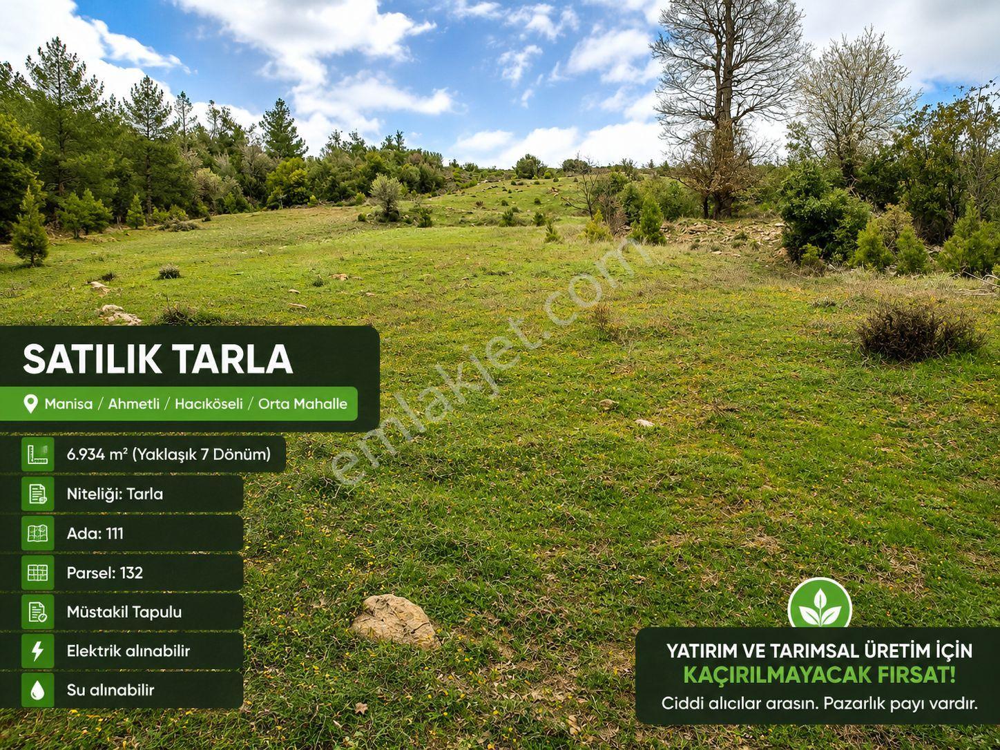 Manisa Ahmetli Hacıköseli Orta Mahalle'de Satılık 6.934 M² Tarla - Görsel 2