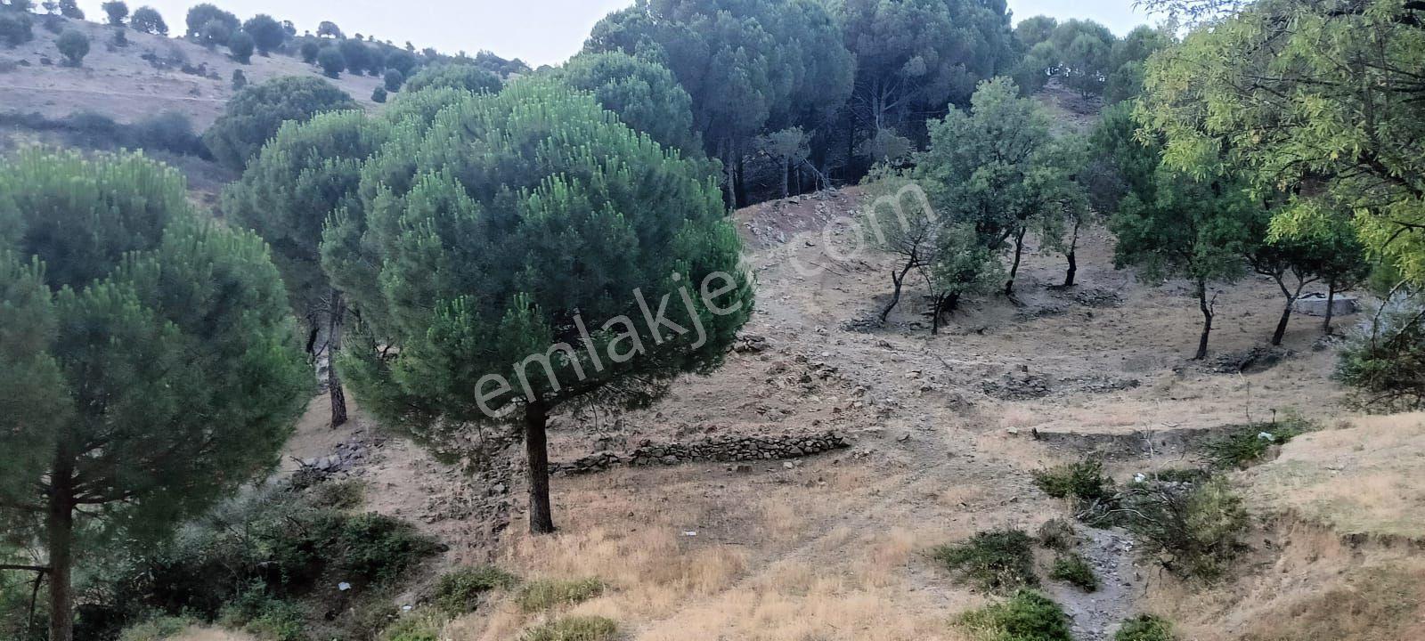 Ayvalık, Akçapınar'da Satılık Arsa - Görsel 7