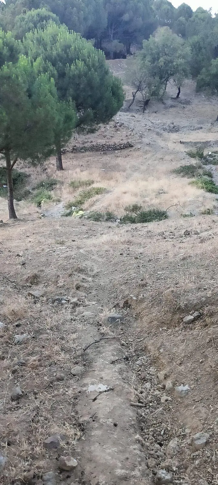 Ayvalık, Akçapınar'da Satılık Arsa - Görsel 8