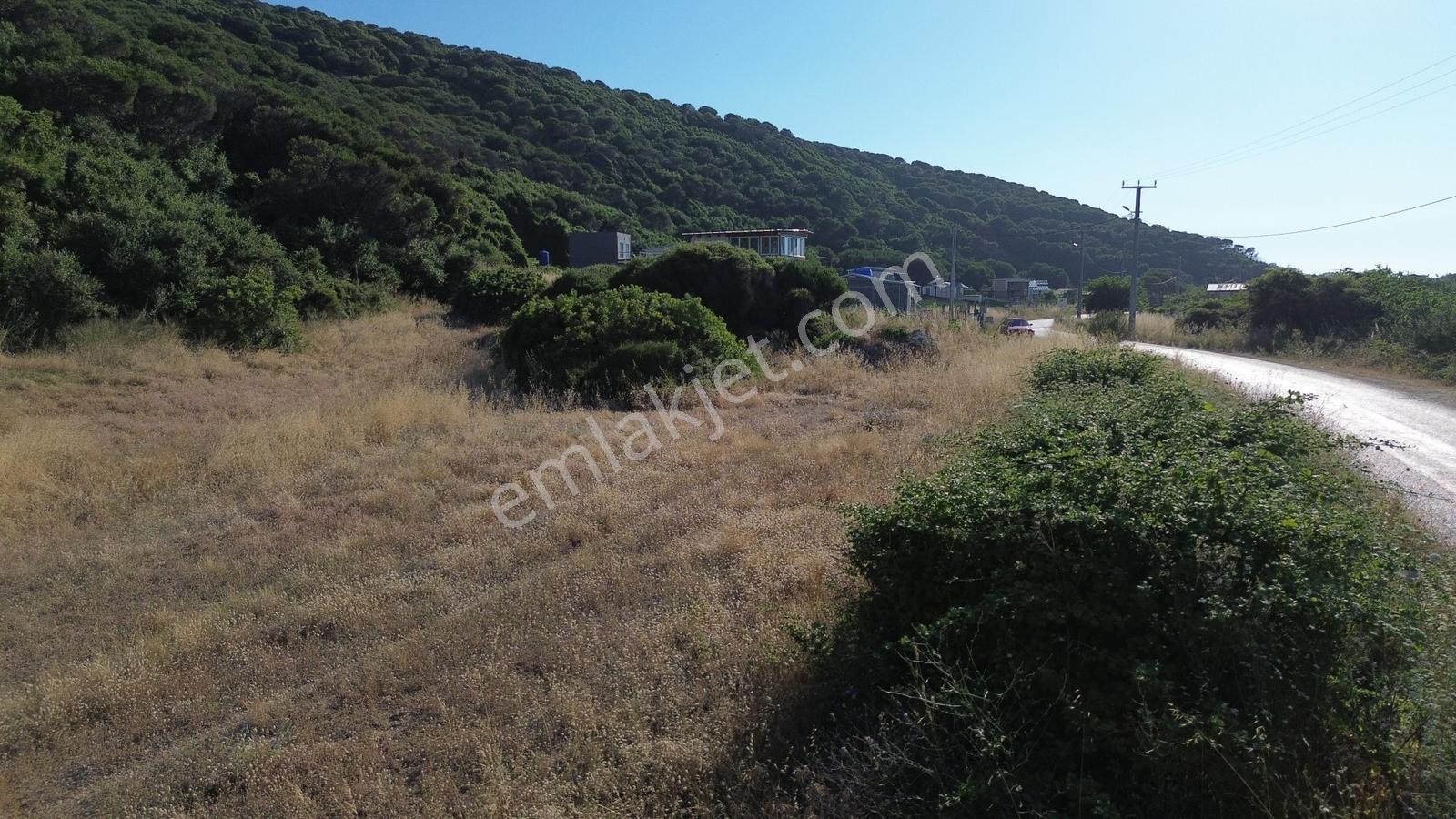 Eğerce'de Asfalt'a Ve Denize Sıfır Konumda 2250m2 Harika Arazi ! - Görsel 10