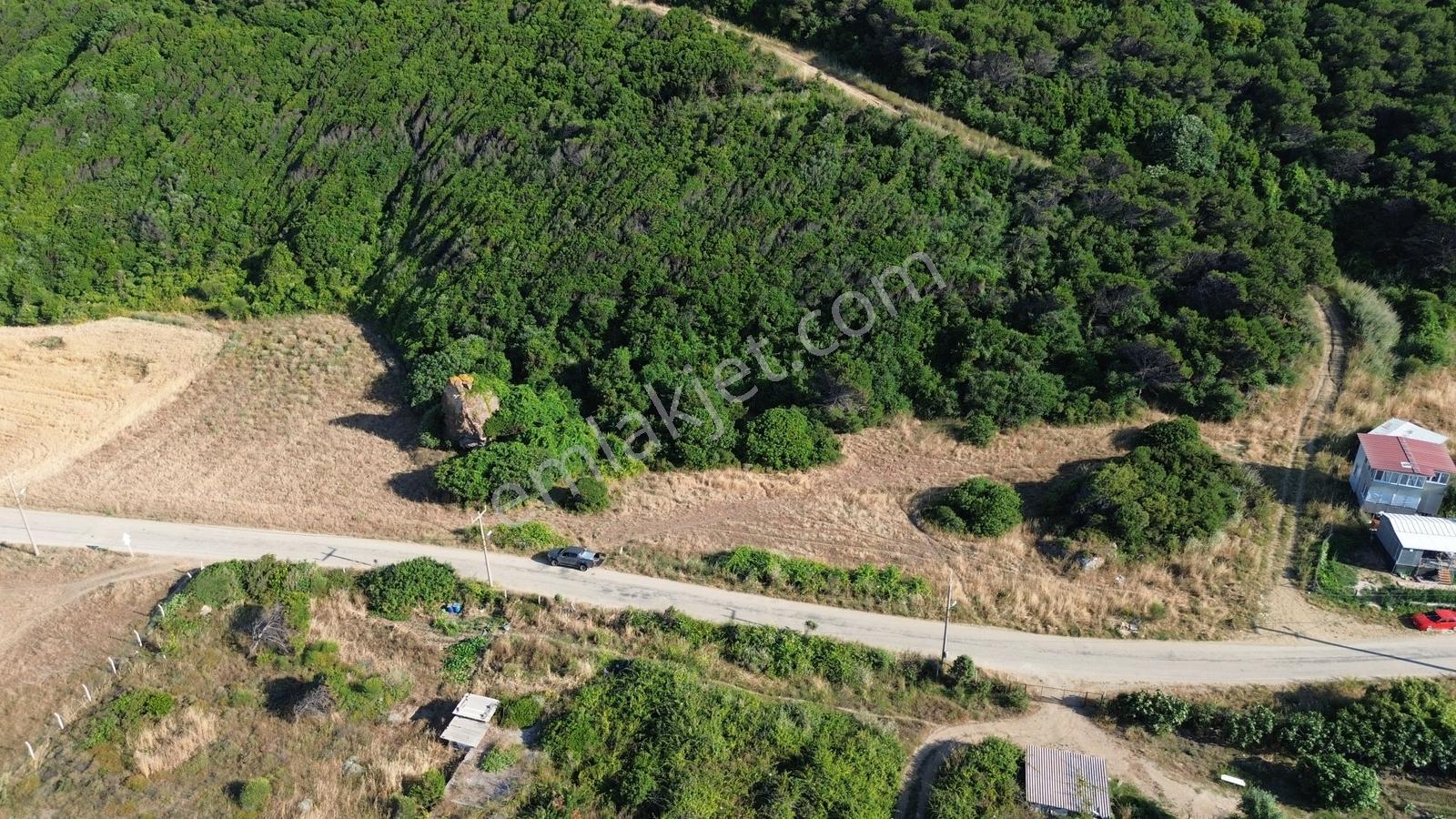 Eğerce'de Asfalt'a Ve Denize Sıfır Konumda 2250m2 Harika Arazi ! - Görsel 3
