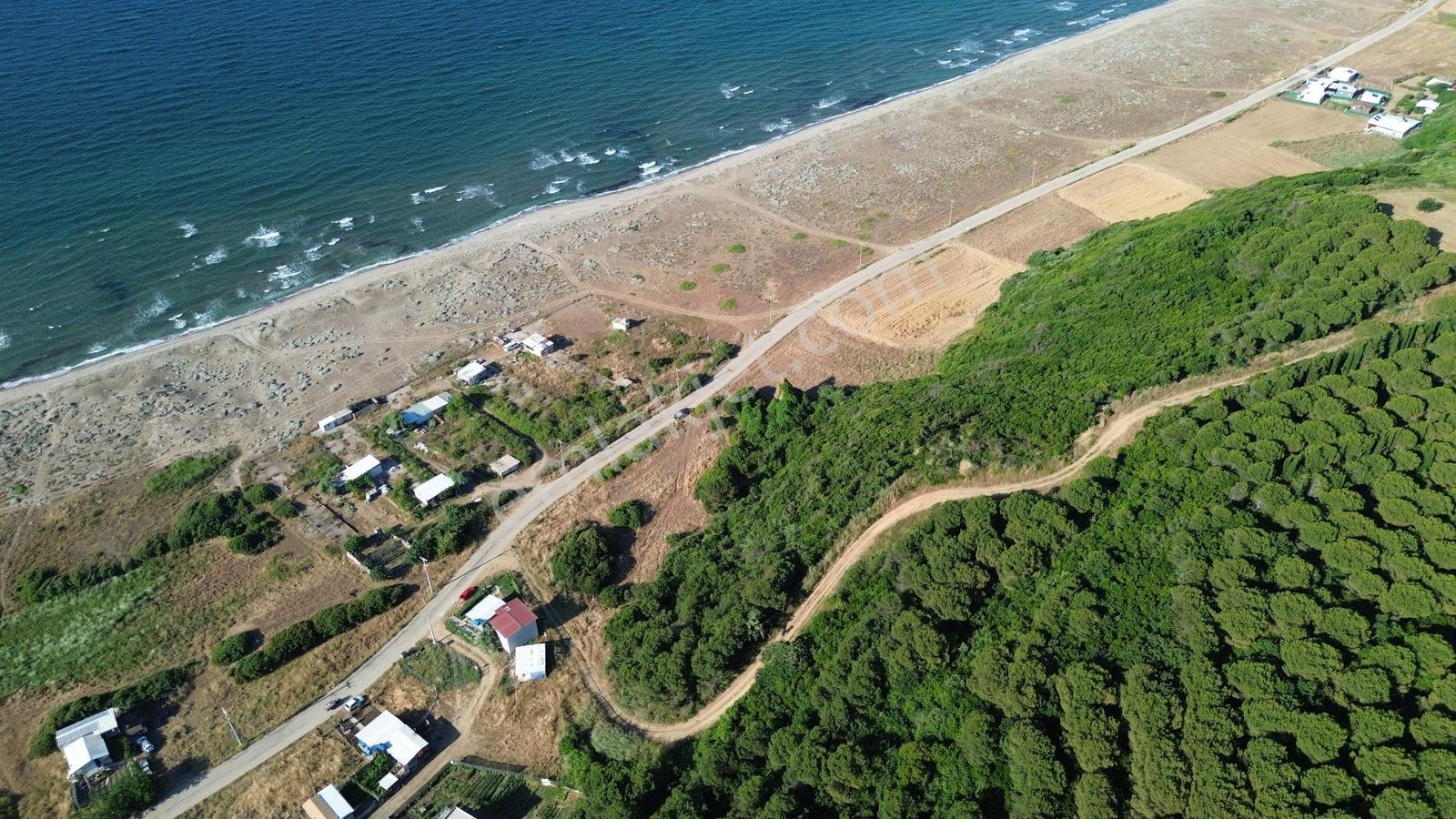 Eğerce'de Asfalt'a Ve Denize Sıfır Konumda 2250m2 Harika Arazi ! - Görsel 18