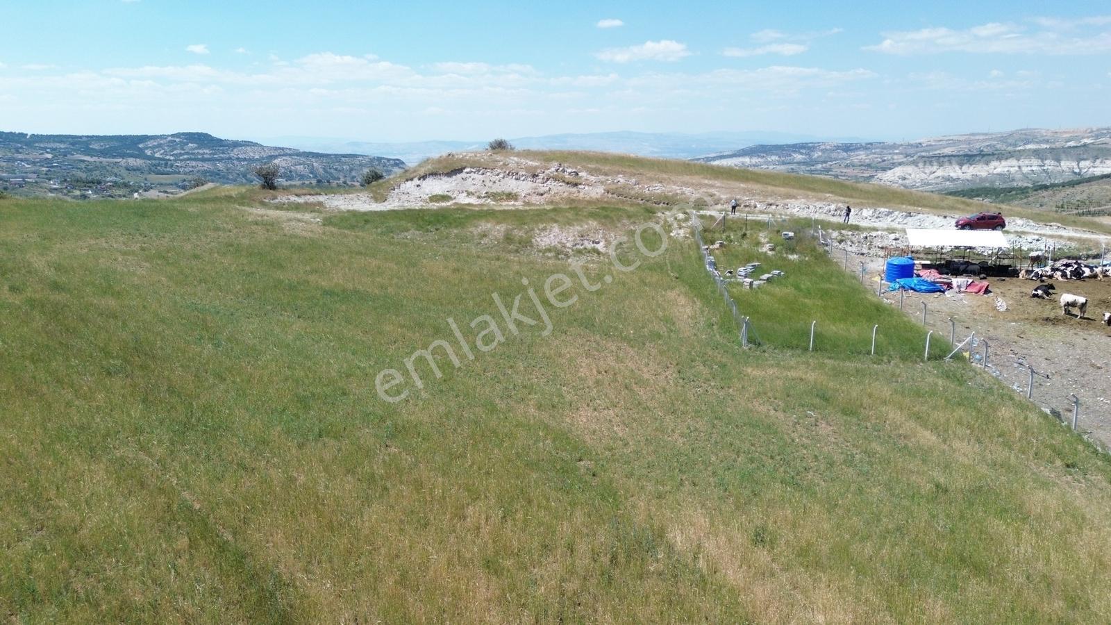 Han'dan Bağlum Köprü Mevkinde 344 M2 Bahçelik Tarla - Görsel 35