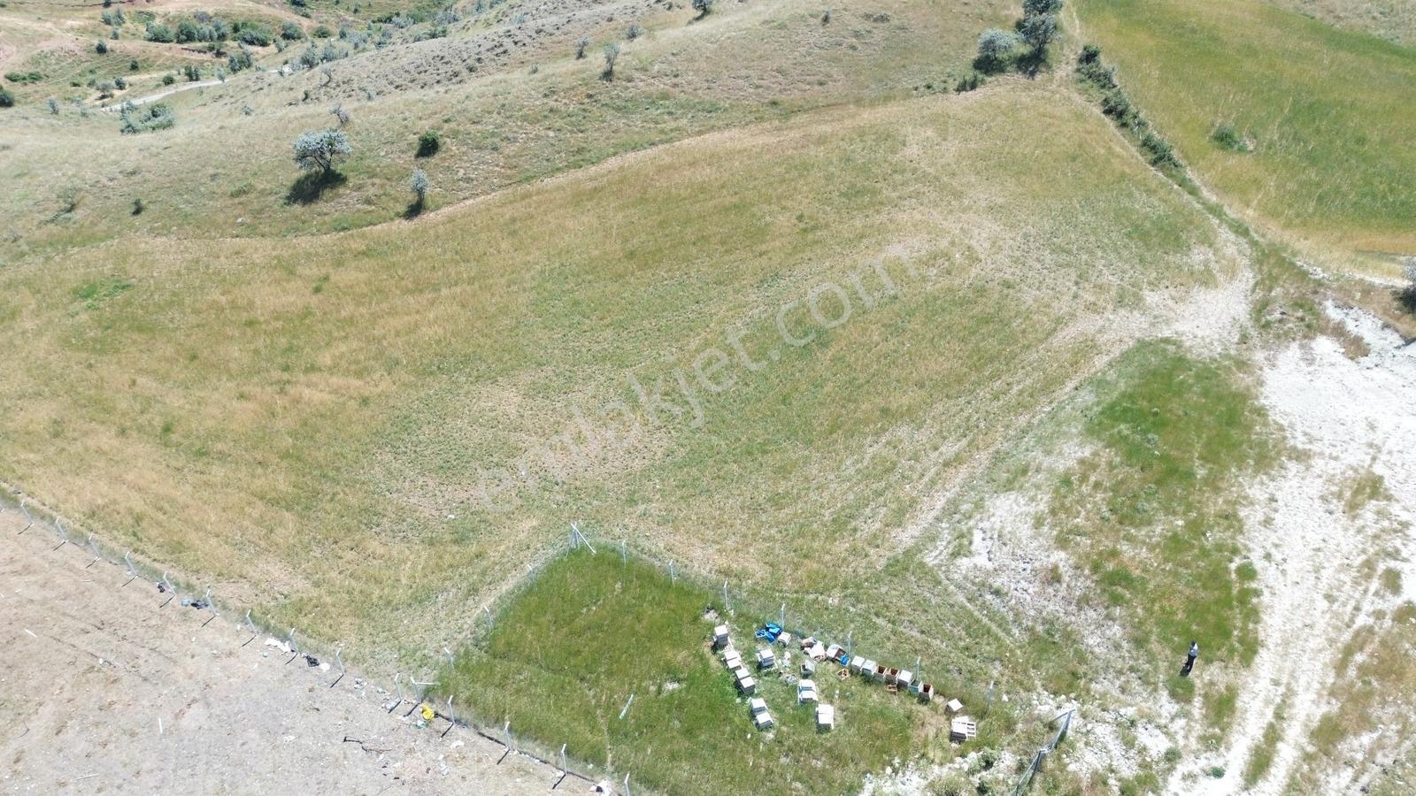 Han'dan Bağlum Köprü Mevkinde 344 M2 Bahçelik Tarla - Görsel 10