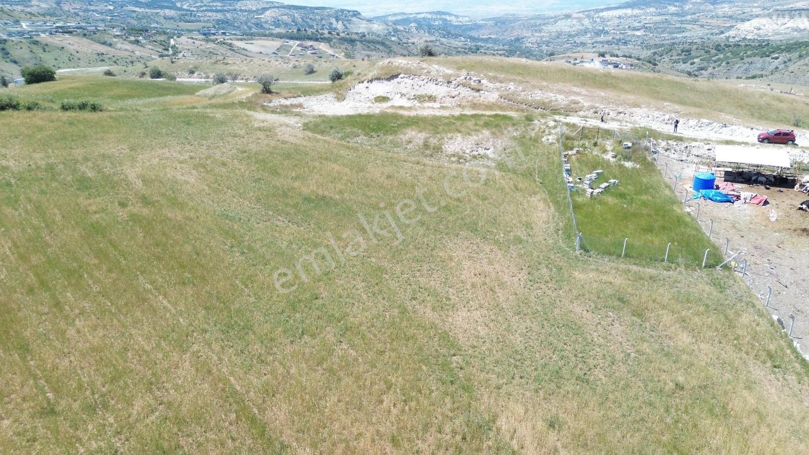 Han'dan Bağlum Köprü Mevkinde 344 M2 Bahçelik Tarla - Görsel 15