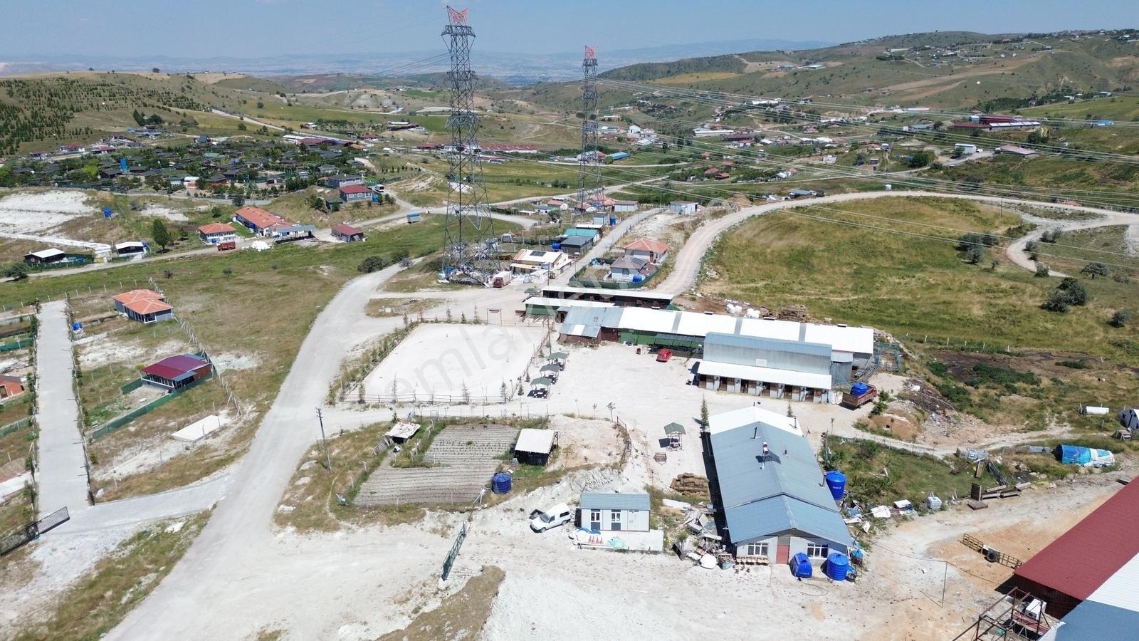 Han'dan Bağlum Köprü Mevkinde 344 M2 Bahçelik Tarla - Görsel 8