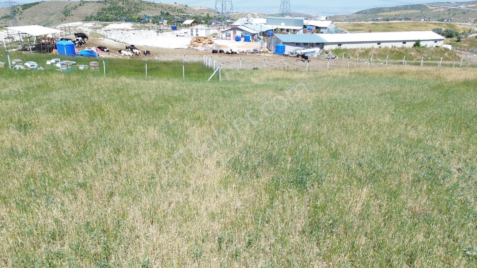 Han'dan Bağlum Köprü Mevkinde 344 M2 Bahçelik Tarla - Görsel 31