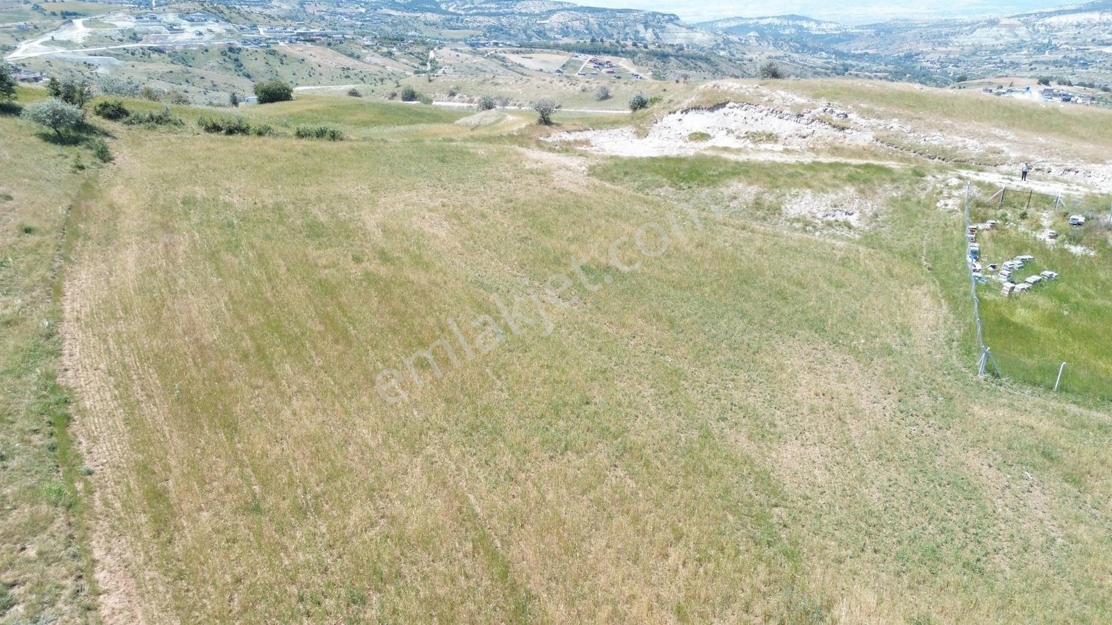 Han'dan Bağlum Köprü Mevkinde 344 M2 Bahçelik Tarla - Görsel 16