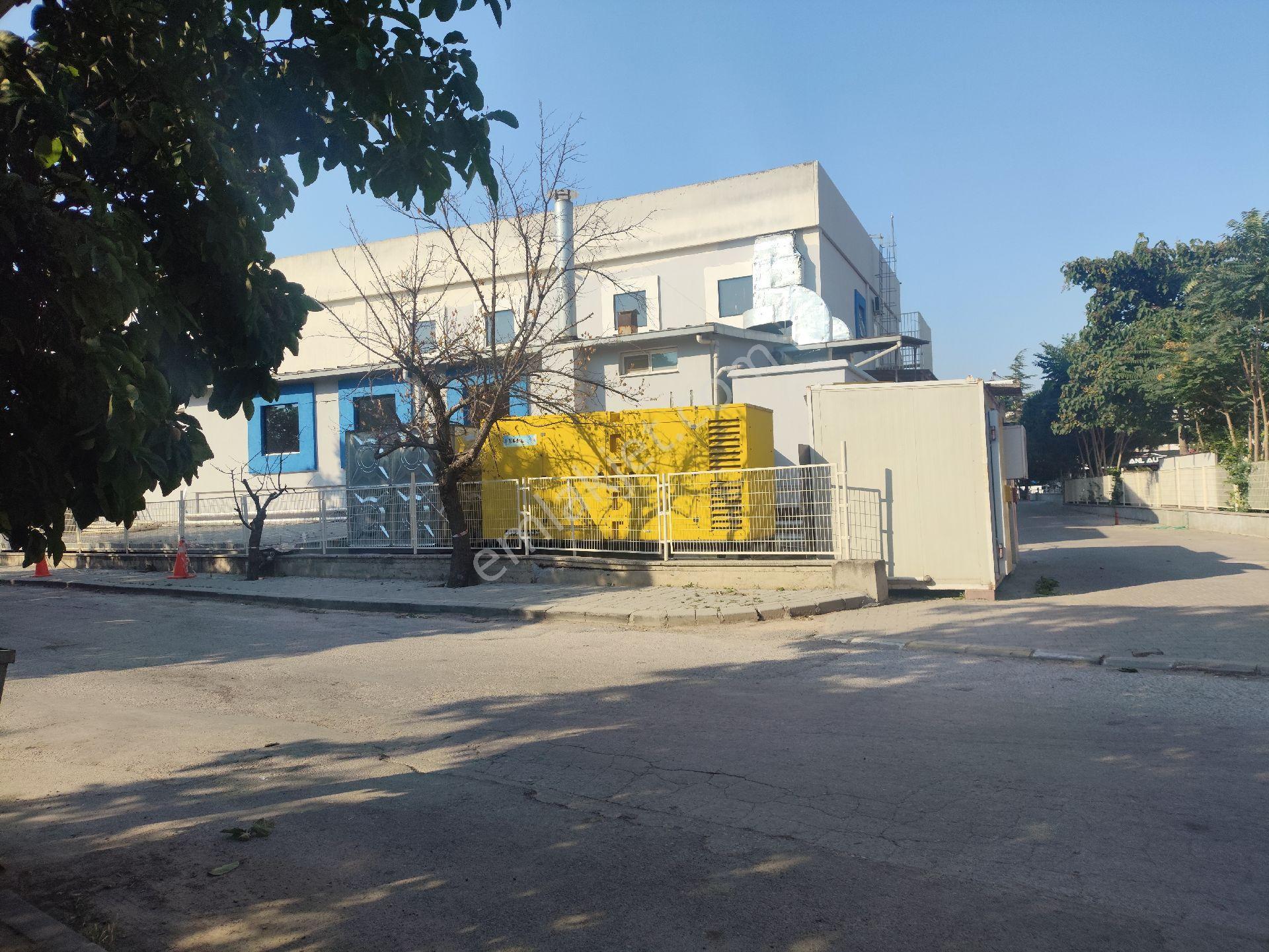 Balıkesir Altıeylül Gop Mh Adliye Yanı Boş Kiralık Dükkan Pırlantam Gayrimenkul - Görsel 11