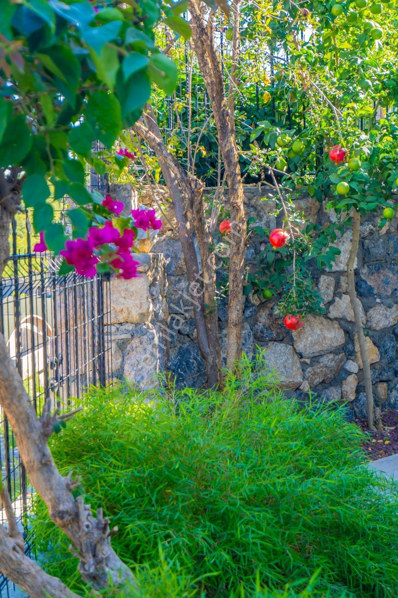 Alanya Kargıcak’ta Panoramik Manzaralı Satılık Lüks Villa - Görsel 31